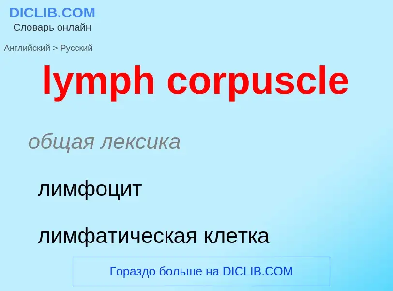 Как переводится lymph corpuscle на Русский язык