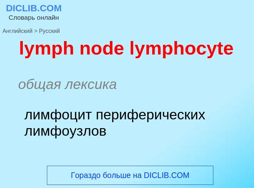 Как переводится lymph node lymphocyte на Русский язык