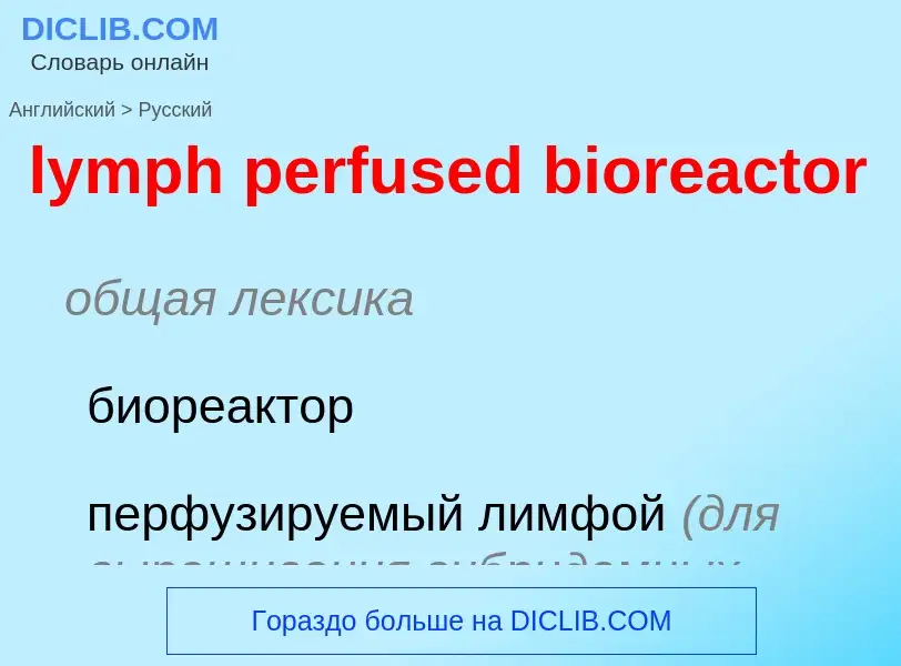 Как переводится lymph perfused bioreactor на Русский язык