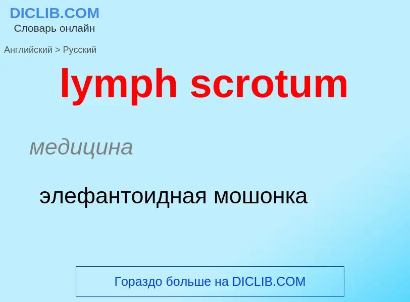 Как переводится lymph scrotum на Русский язык