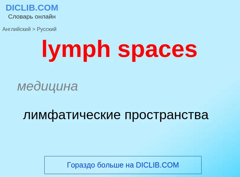 Как переводится lymph spaces на Русский язык