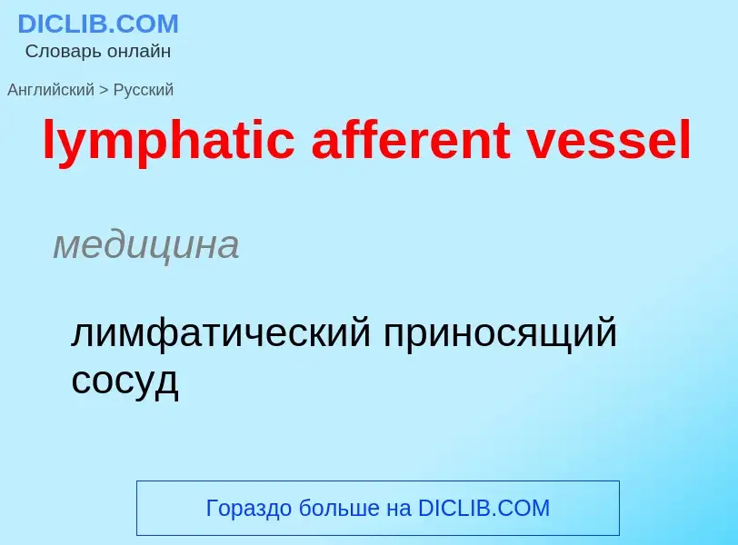 Как переводится lymphatic afferent vessel на Русский язык