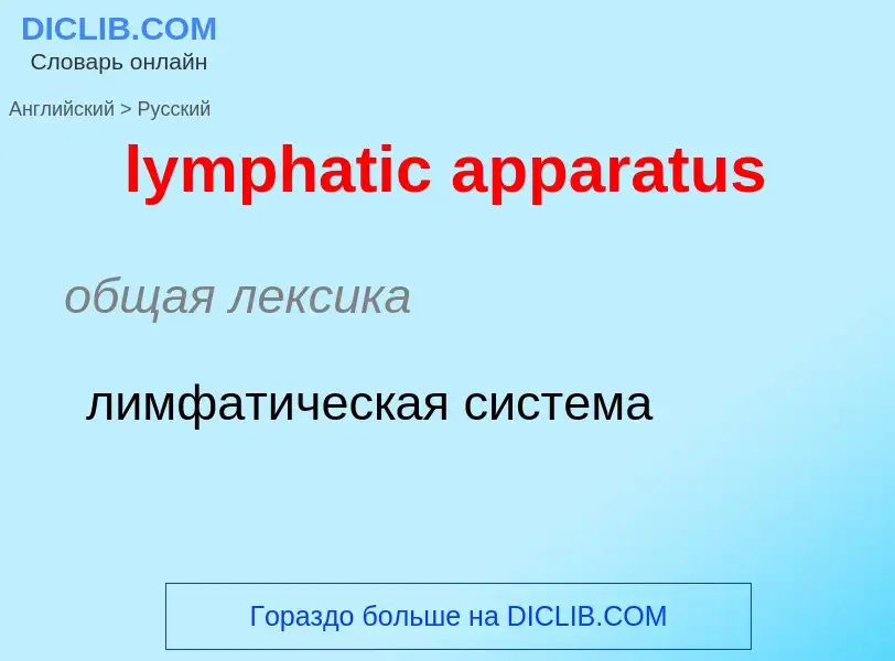 Как переводится lymphatic apparatus на Русский язык