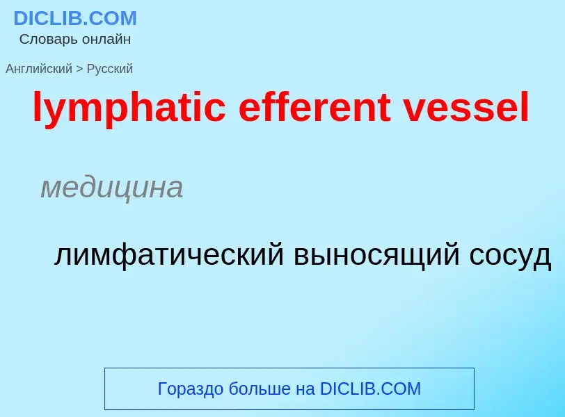 Μετάφραση του &#39lymphatic efferent vessel&#39 σε Ρωσικά