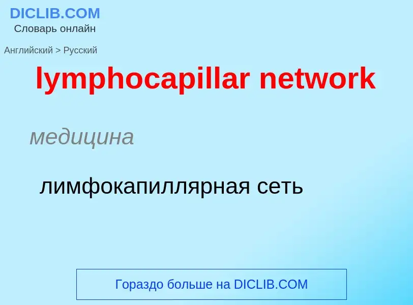 Μετάφραση του &#39lymphocapillar network&#39 σε Ρωσικά