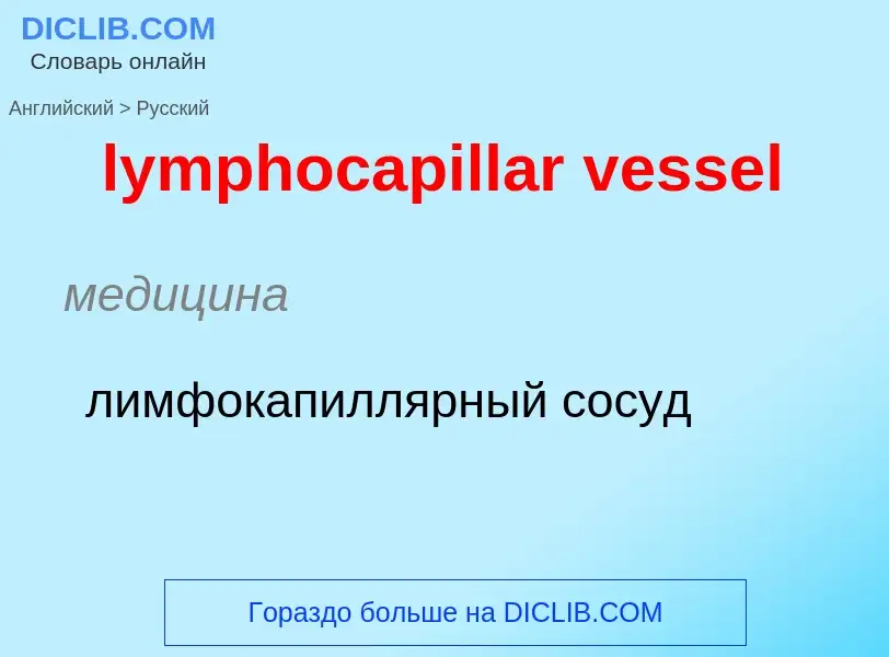 Μετάφραση του &#39lymphocapillar vessel&#39 σε Ρωσικά