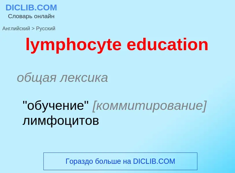 Как переводится lymphocyte education на Русский язык