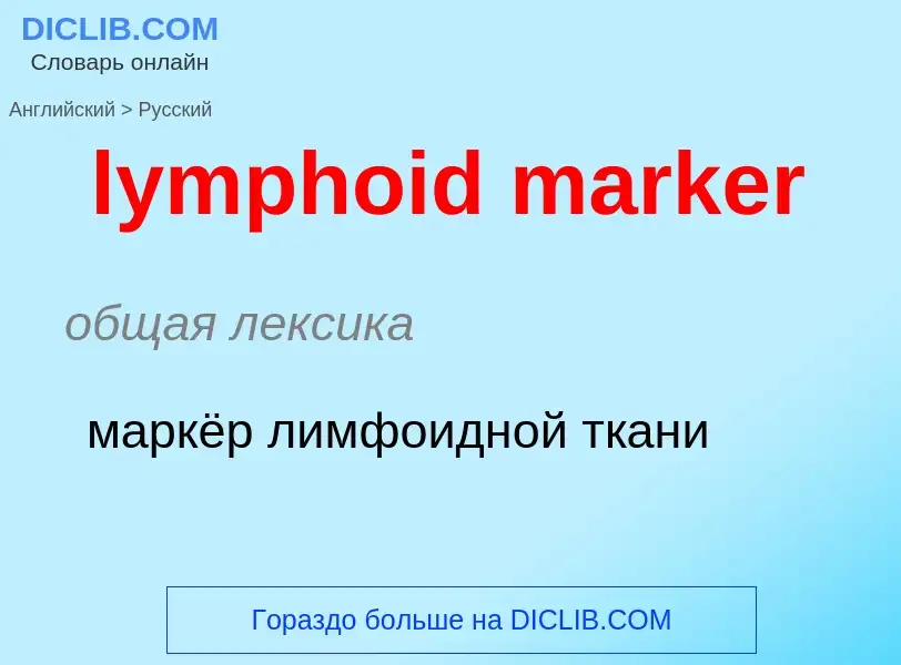 Как переводится lymphoid marker на Русский язык