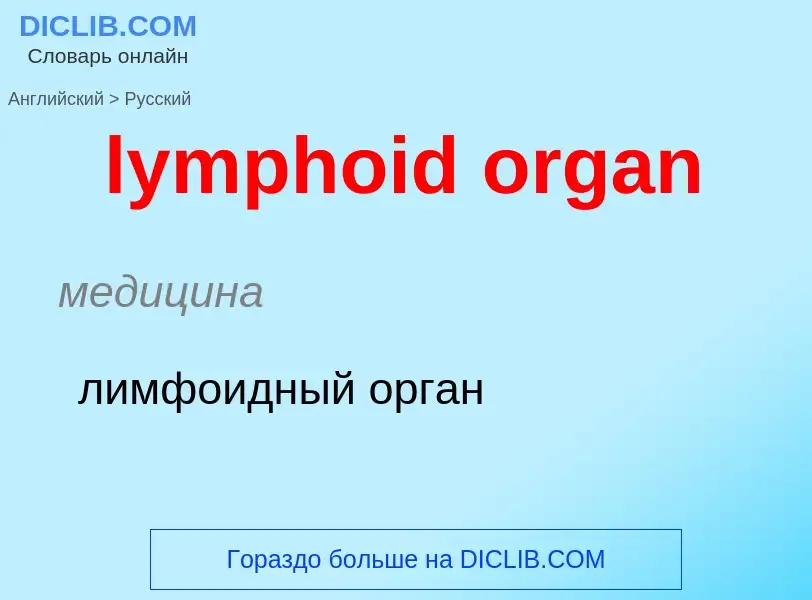 Как переводится lymphoid organ на Русский язык