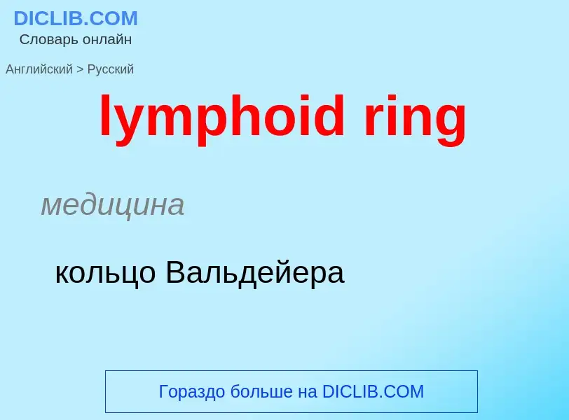 Как переводится lymphoid ring на Русский язык