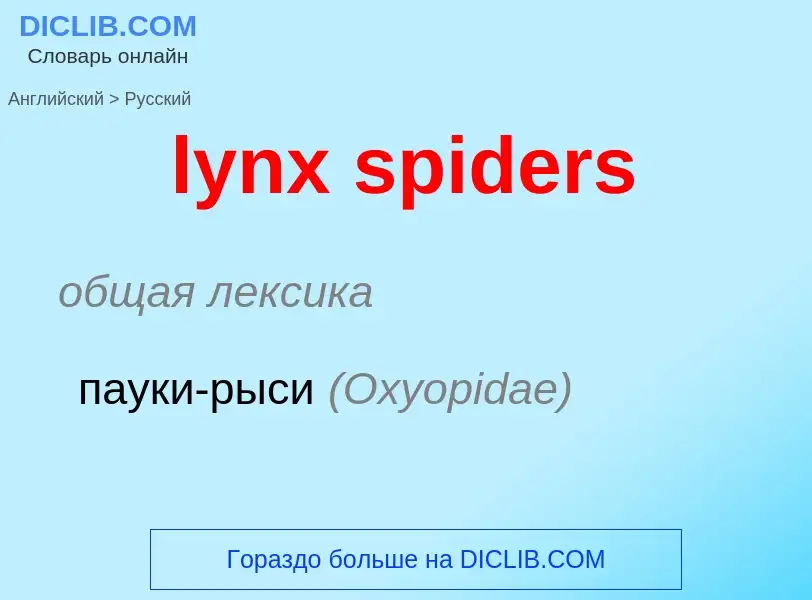 Как переводится lynx spiders на Русский язык