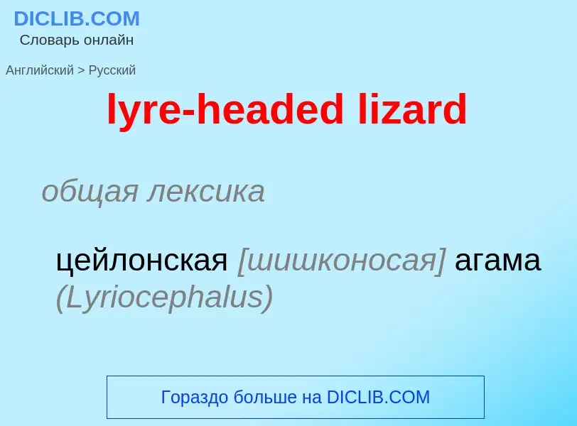 Как переводится lyre-headed lizard на Русский язык