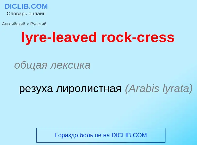 Как переводится lyre-leaved rock-cress на Русский язык