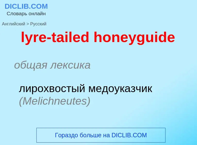 Как переводится lyre-tailed honeyguide на Русский язык