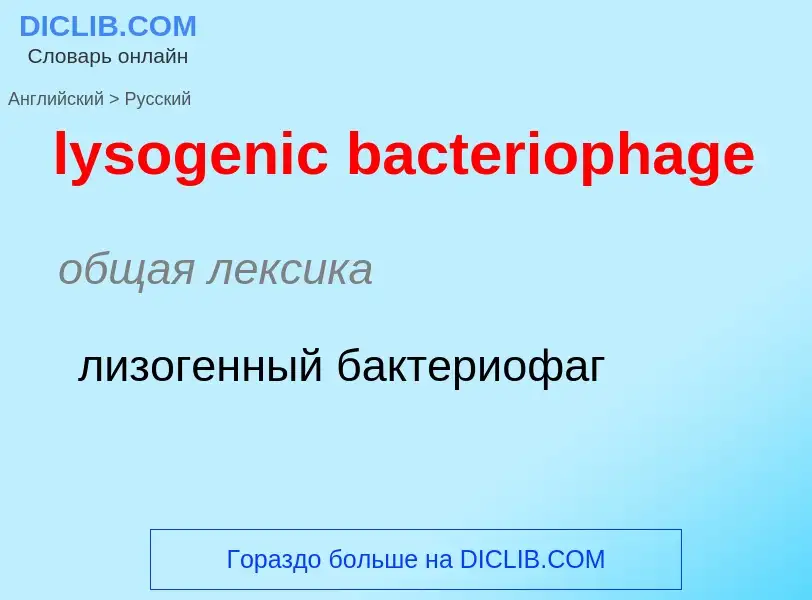 Как переводится lysogenic bacteriophage на Русский язык