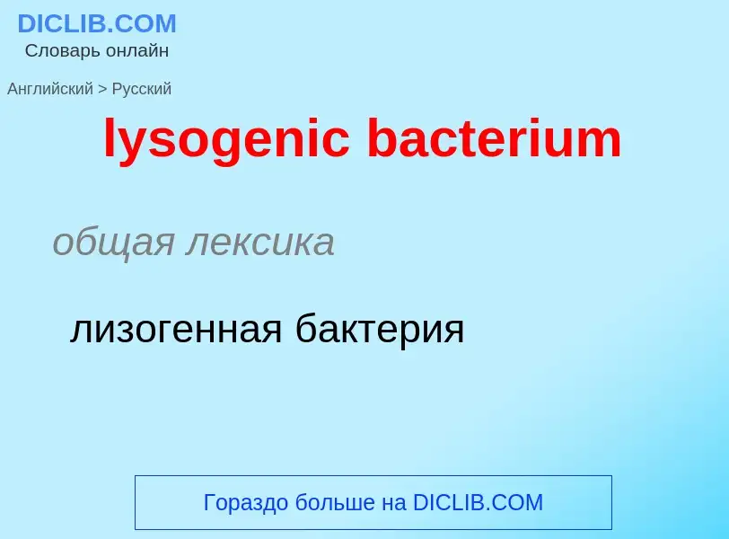 Как переводится lysogenic bacterium на Русский язык