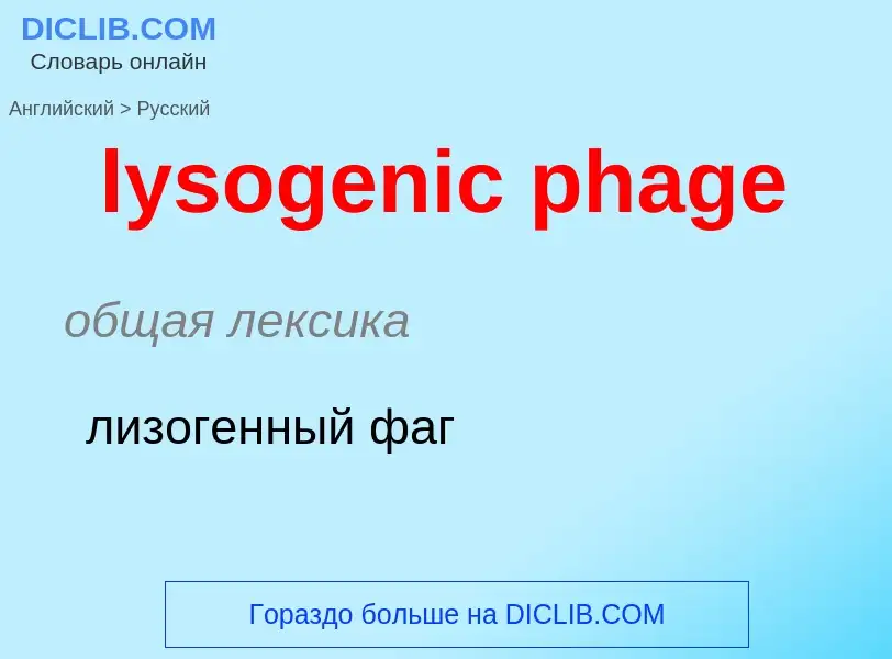 Как переводится lysogenic phage на Русский язык