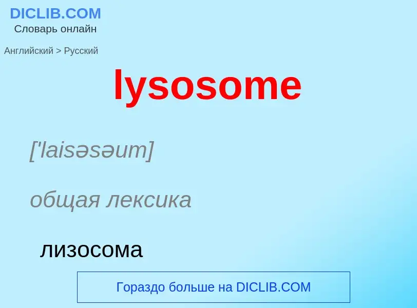 Как переводится lysosome на Русский язык