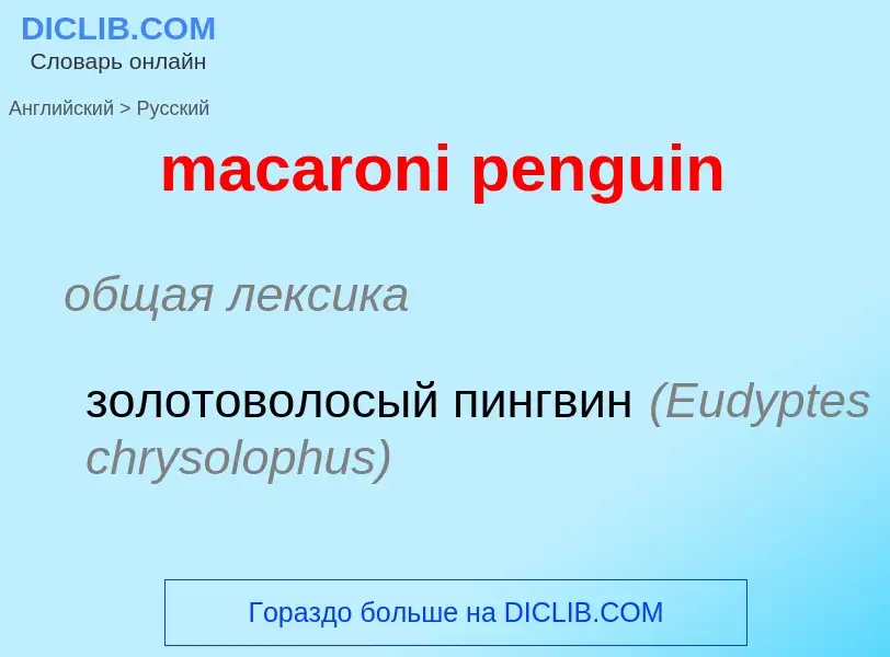 Как переводится macaroni penguin на Русский язык