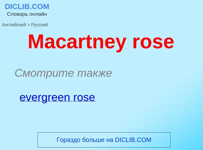 Как переводится Macartney rose на Русский язык