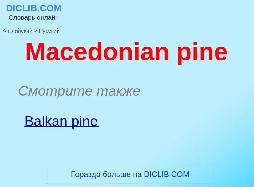 Как переводится Macedonian pine на Русский язык