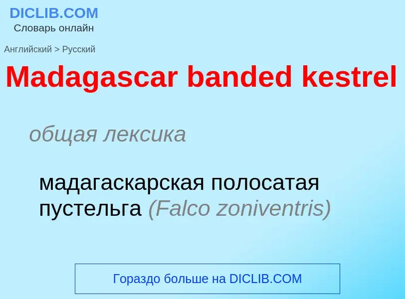 Como se diz Madagascar banded kestrel em Russo? Tradução de &#39Madagascar banded kestrel&#39 em Rus