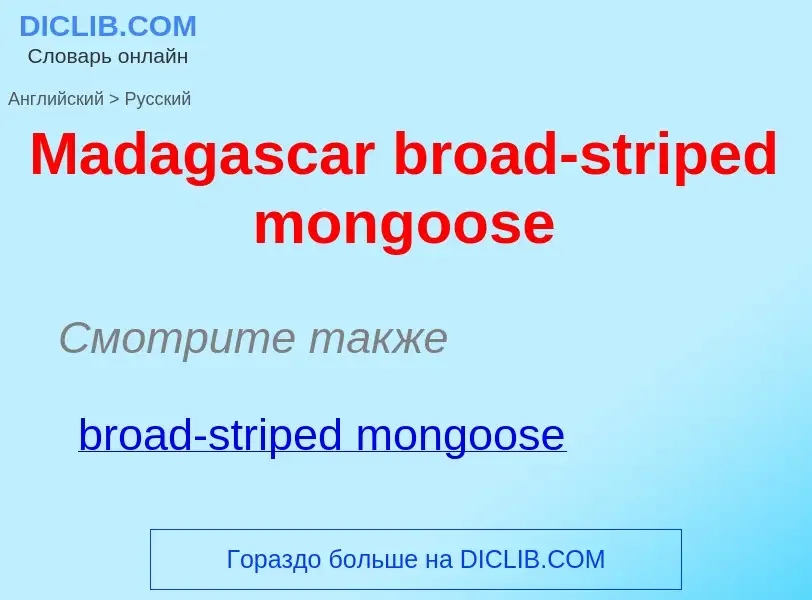 Como se diz Madagascar broad-striped mongoose em Russo? Tradução de &#39Madagascar broad-striped mon