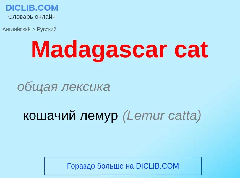 Как переводится Madagascar cat на Русский язык