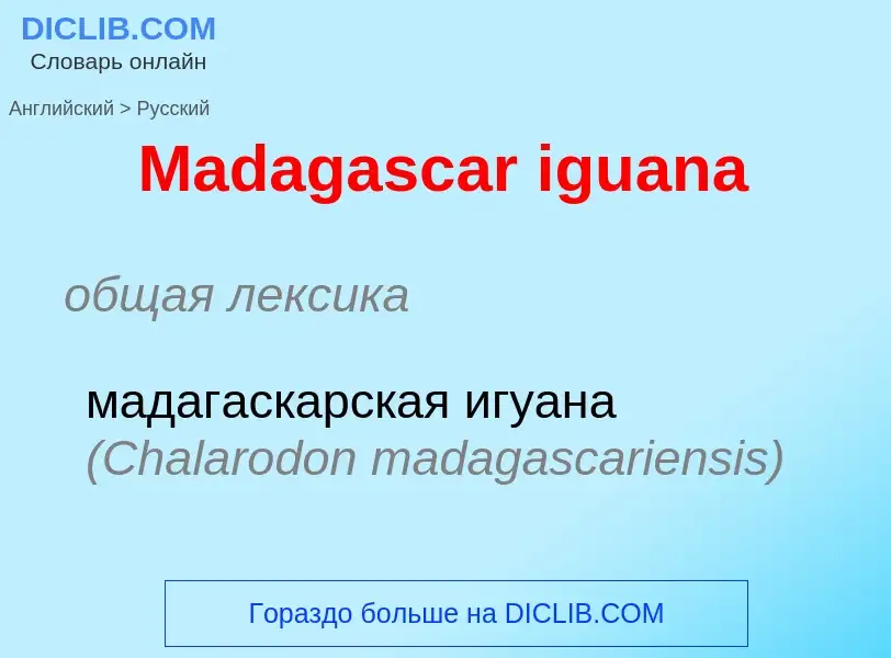 Como se diz Madagascar iguana em Russo? Tradução de &#39Madagascar iguana&#39 em Russo