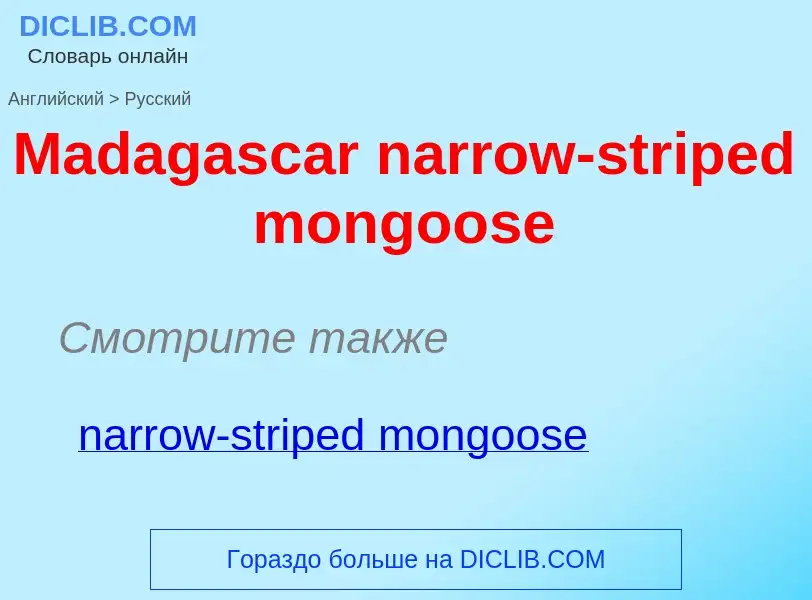 Как переводится Madagascar narrow-striped mongoose на Русский язык