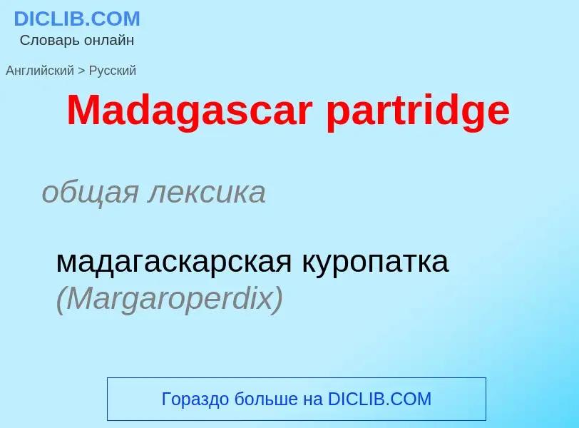 Как переводится Madagascar partridge на Русский язык