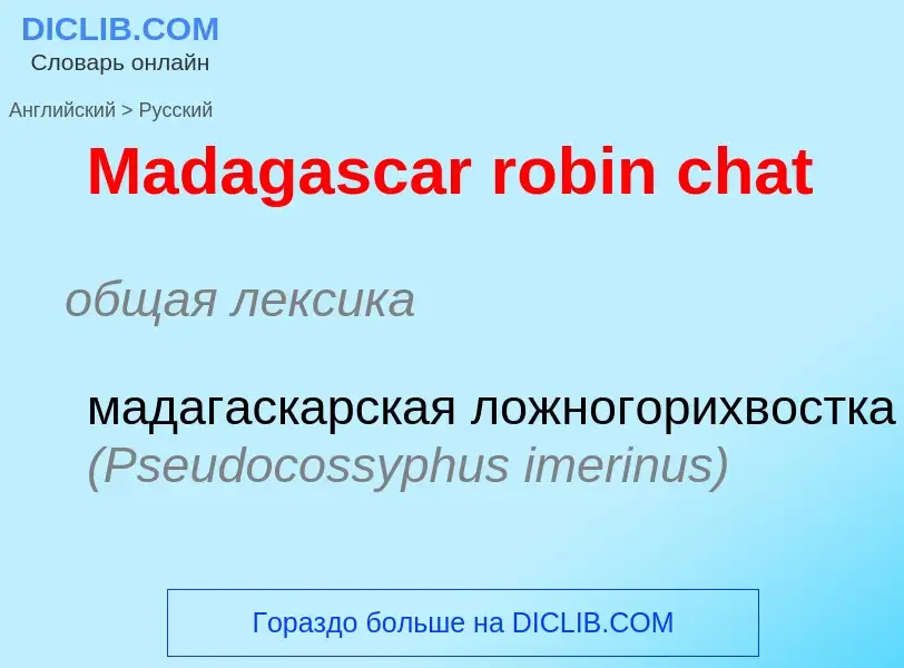 Как переводится Madagascar robin chat на Русский язык