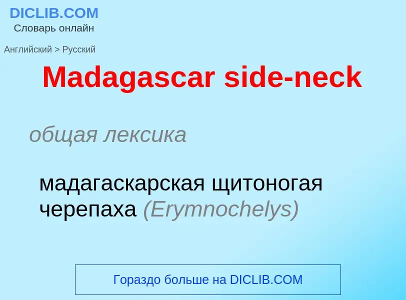 Как переводится Madagascar side-neck на Русский язык