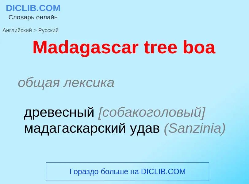 Как переводится Madagascar tree boa на Русский язык