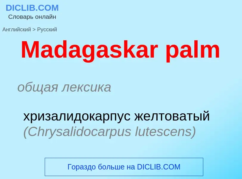 What is the Russian for Madagaskar palm? Translation of &#39Madagaskar palm&#39 to Russian