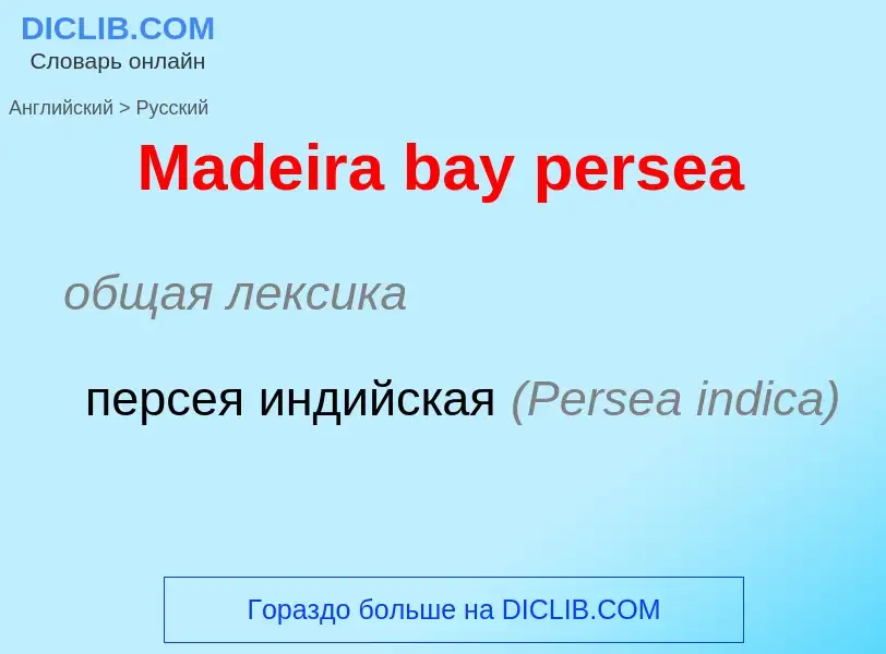 Как переводится Madeira bay persea на Русский язык