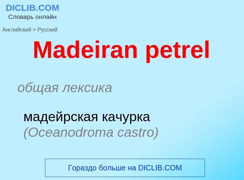 Как переводится Madeiran petrel на Русский язык