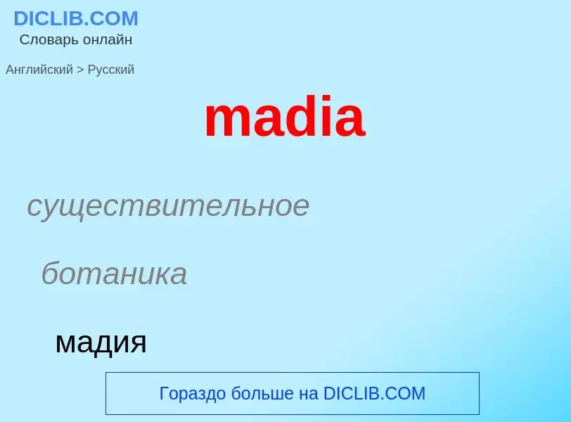 What is the Russian for madia? Translation of &#39madia&#39 to Russian