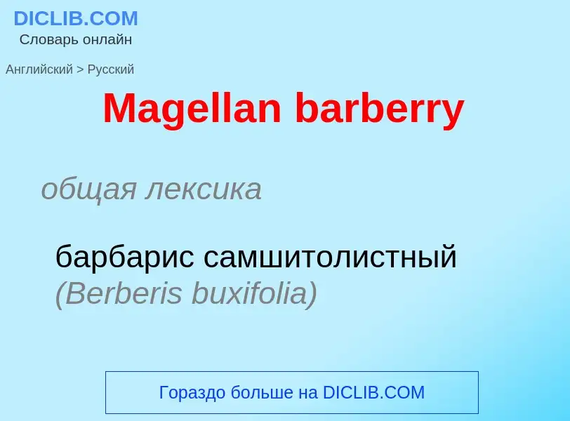 What is the Russian for Magellan barberry? Translation of &#39Magellan barberry&#39 to Russian