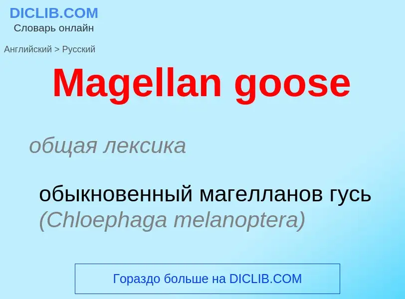 What is the Russian for Magellan goose? Translation of &#39Magellan goose&#39 to Russian