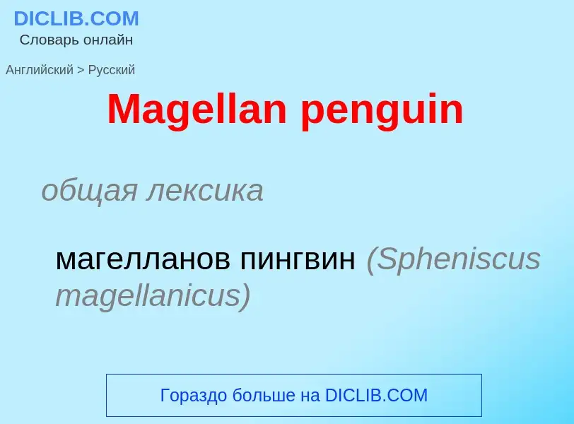 Как переводится Magellan penguin на Русский язык