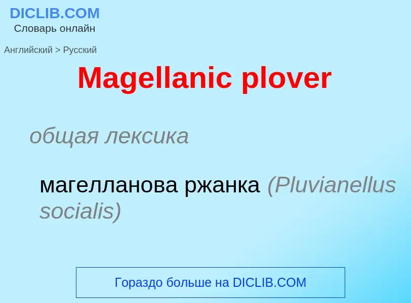 What is the Russian for Magellanic plover? Translation of &#39Magellanic plover&#39 to Russian