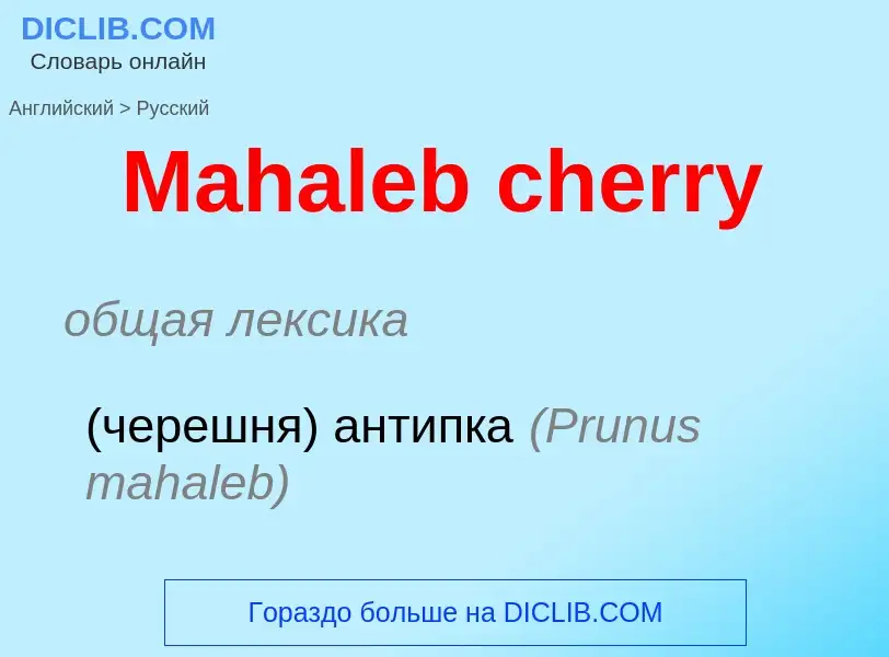 Как переводится Mahaleb cherry на Русский язык