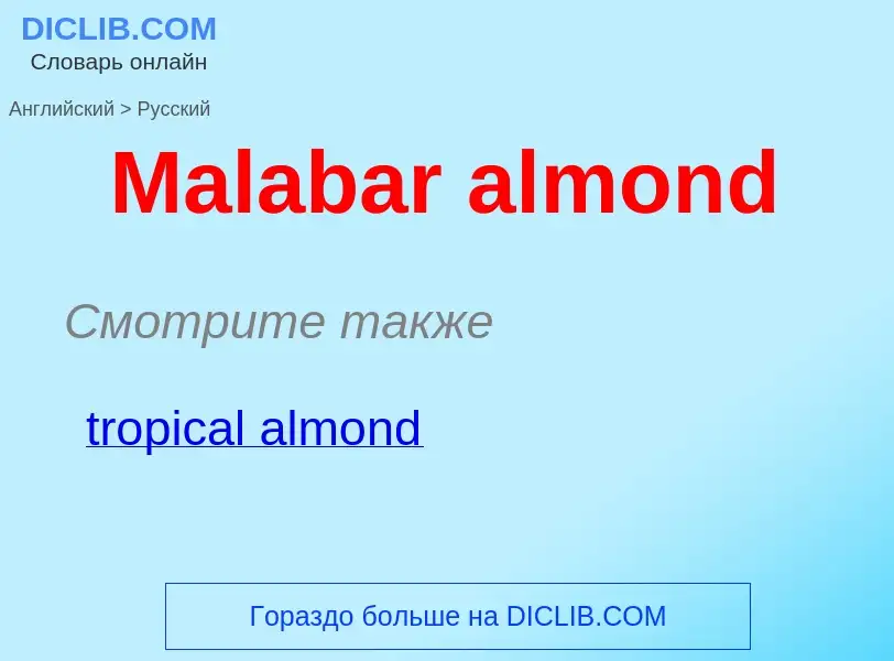 Как переводится Malabar almond на Русский язык