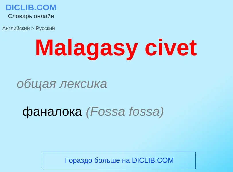 What is the Russian for Malagasy civet? Translation of &#39Malagasy civet&#39 to Russian