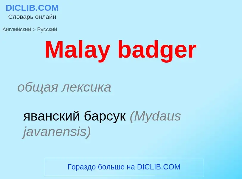 Как переводится Malay badger на Русский язык