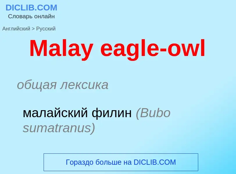 What is the Russian for Malay eagle-owl? Translation of &#39Malay eagle-owl&#39 to Russian