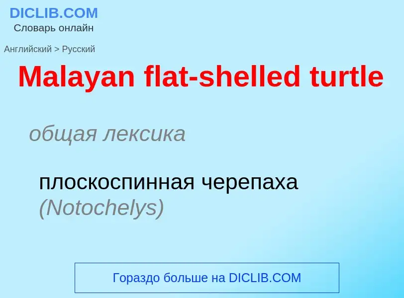 What is the Russian for Malayan flat-shelled turtle? Translation of &#39Malayan flat-shelled turtle&