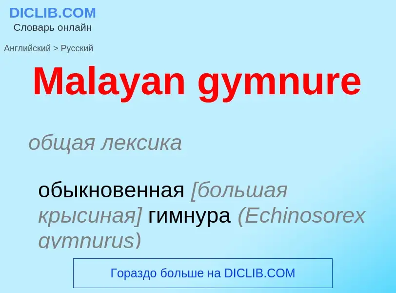 What is the Russian for Malayan gymnure? Translation of &#39Malayan gymnure&#39 to Russian