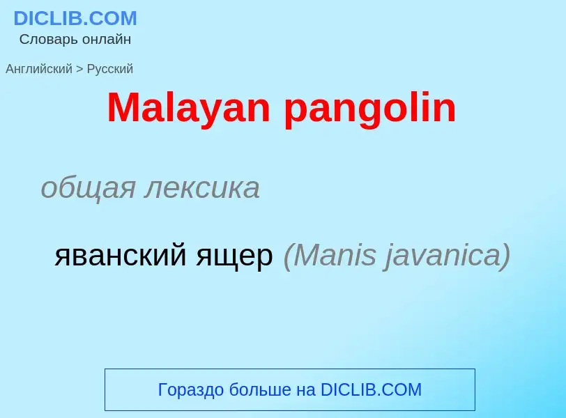 What is the Russian for Malayan pangolin? Translation of &#39Malayan pangolin&#39 to Russian